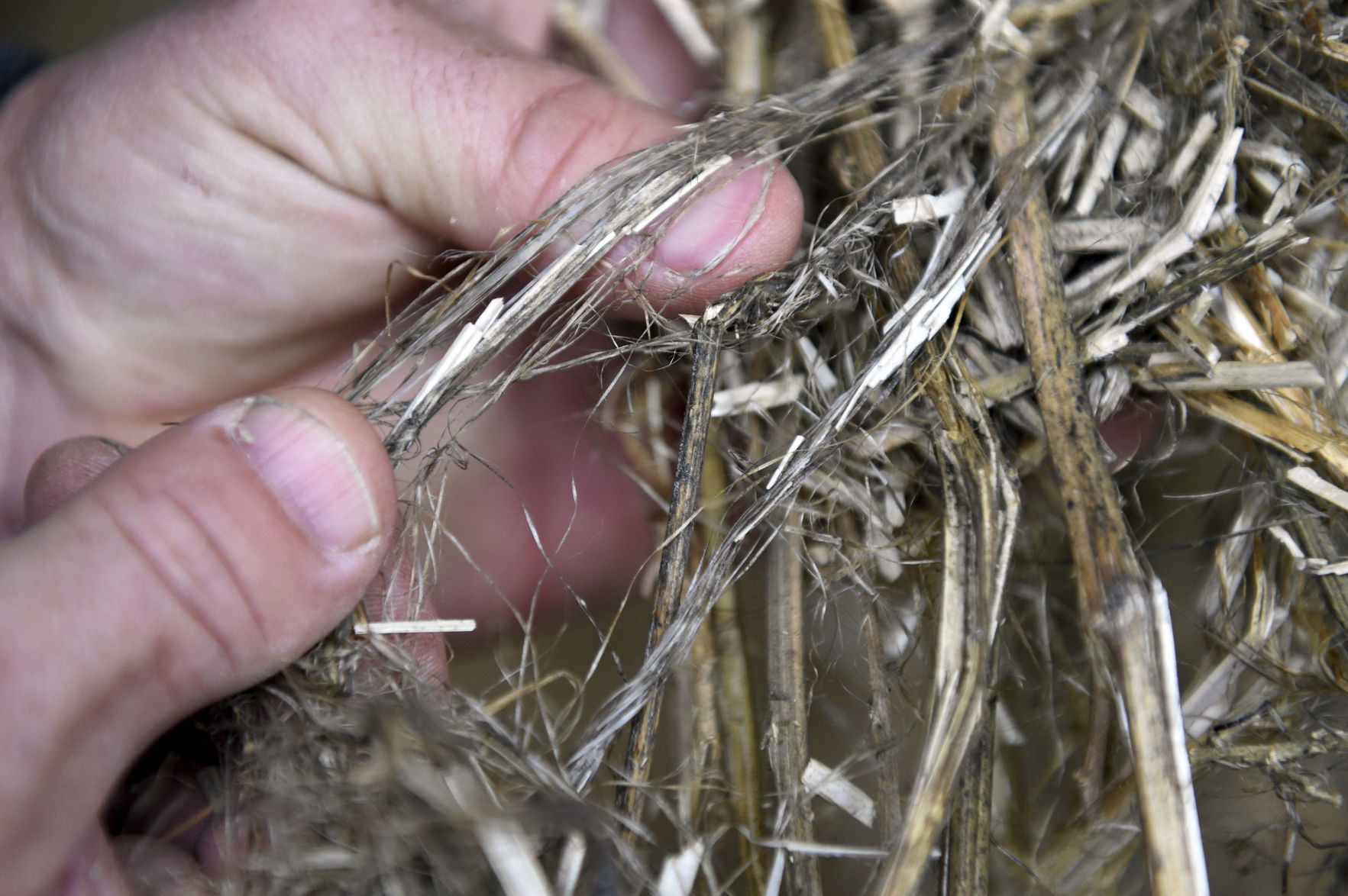 Exchange Farming Hemp